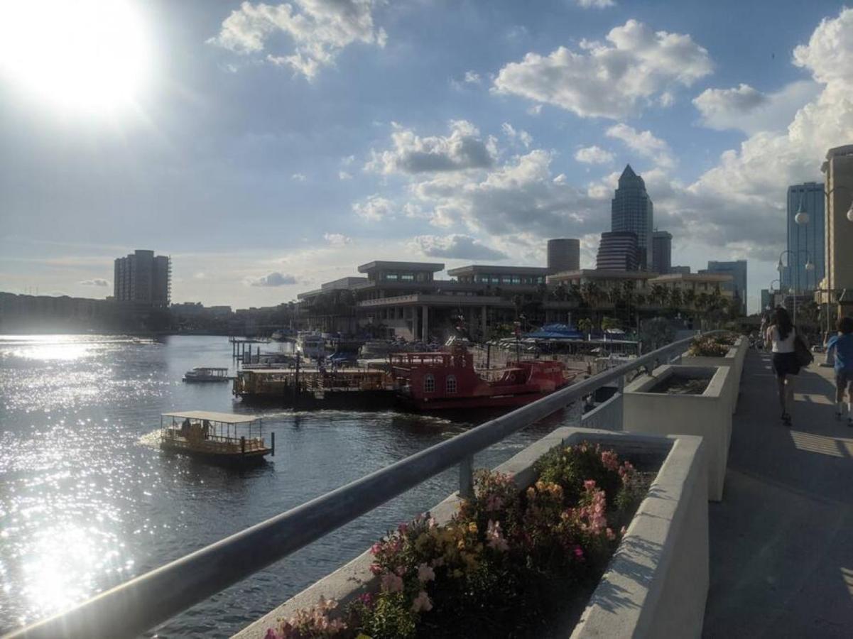 הוילה טאמפה Beautiful Neighborhood Seminole Heights מראה חיצוני תמונה